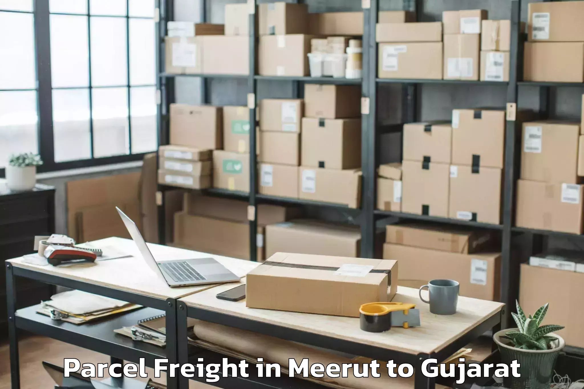 Professional Meerut to Baria Parcel Freight